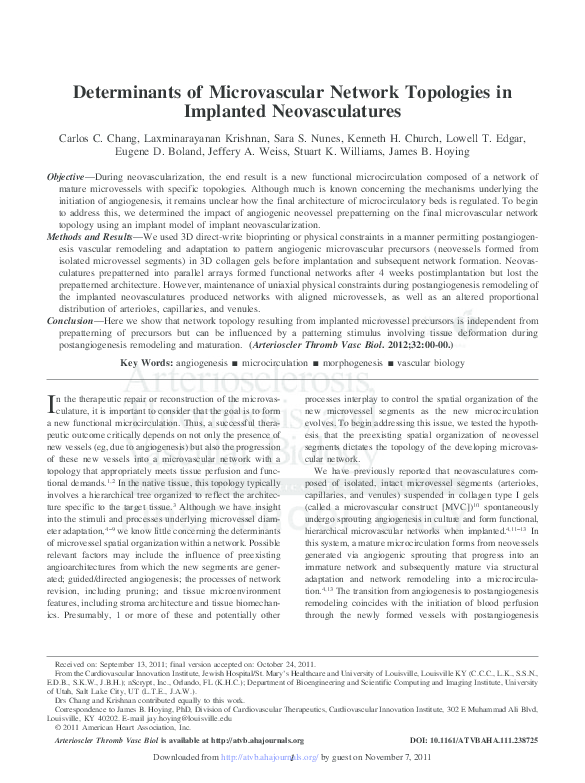 (PDF) Determinants of Microvascular Network Topologies in Implanted ...
