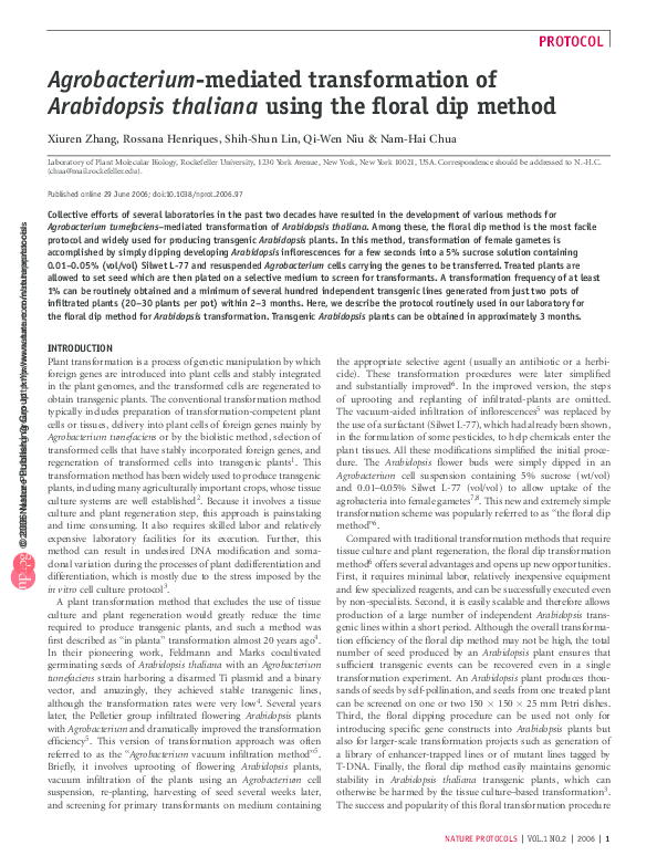 (PDF) Agrobacteriummediated transformation of Arabidopsis thaliana using the floral dip method