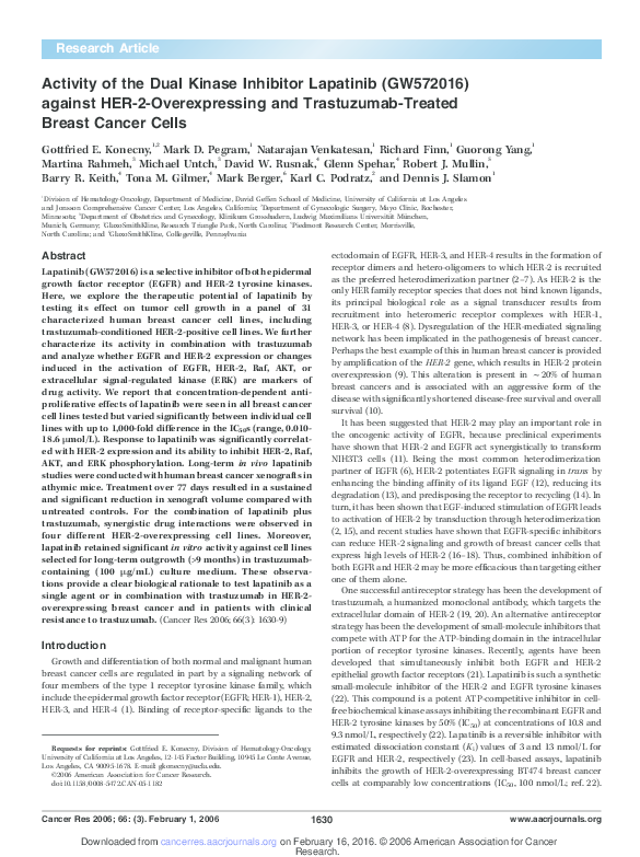 (PDF) Activity of the Dual Kinase Inhibitor Lapatinib (GW572016 ...