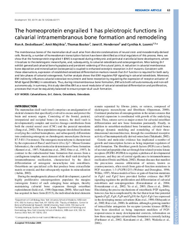 (PDF) The homeoprotein engrailed 1 has pleiotropic functions in ...