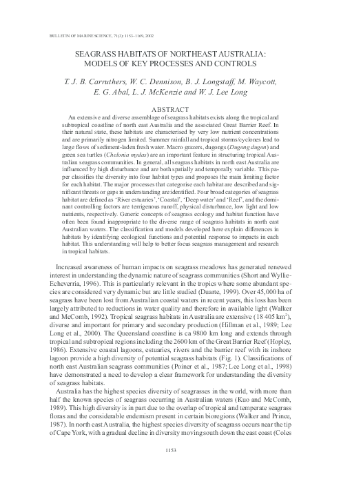 Seagrass adaptations picture