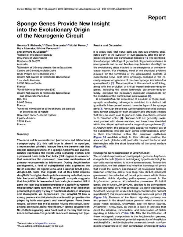 (PDF) Sponge Genes Provide New Insight into the Evolutionary Origin of