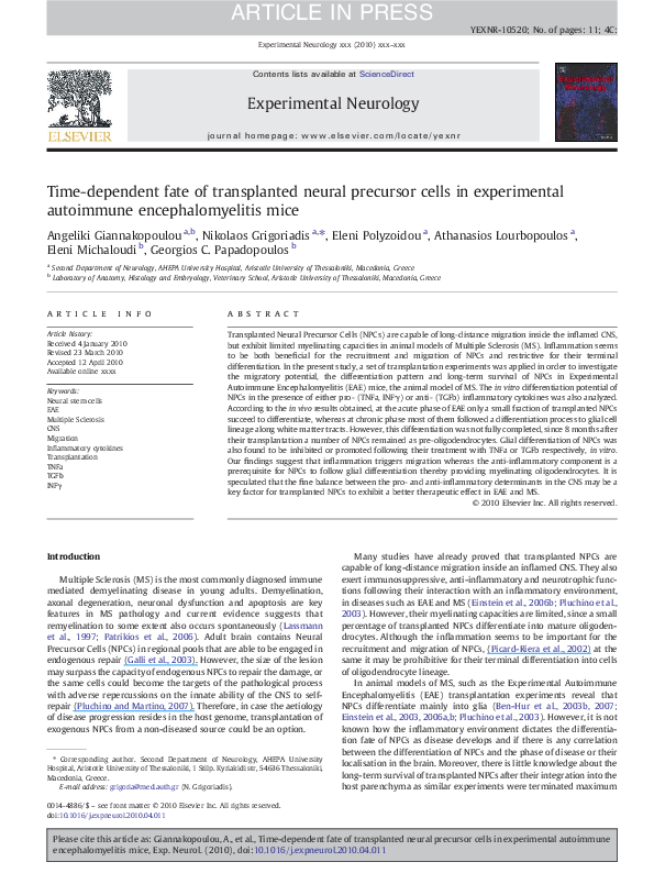 (PDF) Time-dependent fate of transplanted neural precursor cells in ...