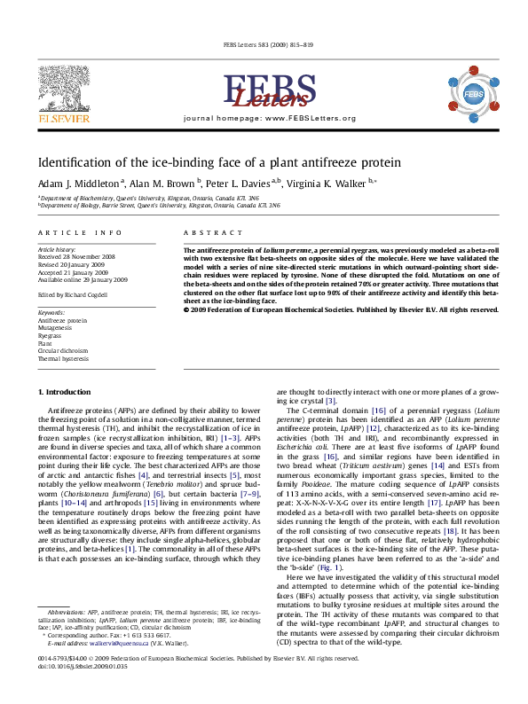 (PDF) Identification of the icebinding face of a plant antifreeze