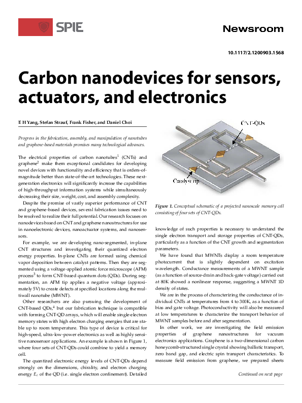 (PDF) Carbon nanodevices for sensors, actuators, and electronics