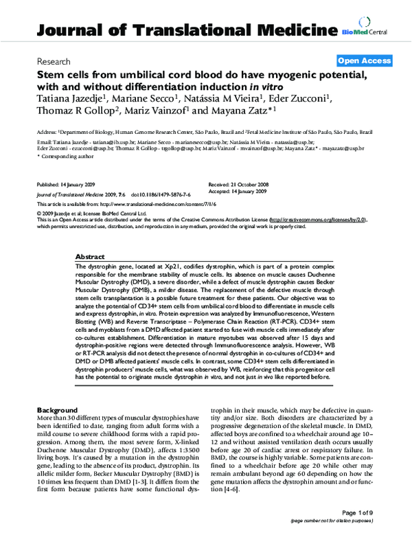 (PDF) Stem cells from umbilical cord blood do have myogenic potential ...