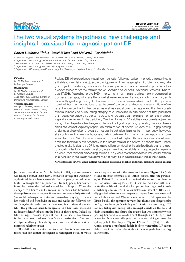 (PDF) The Two Visual Systems Hypothesis: New Challenges and Insights ...