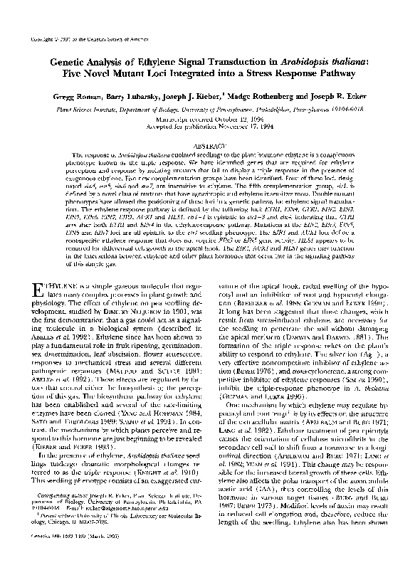 Ethylene receptor when linked to ethylene image