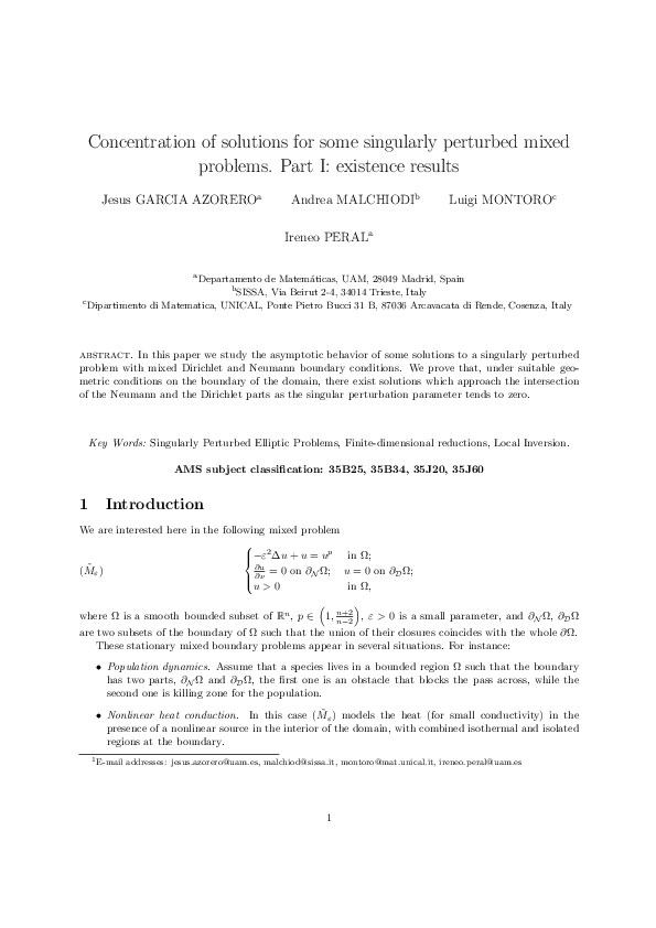Concentration on minimal submanifolds for a singularly perturbed neumann problem