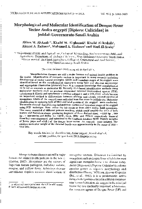 (PDF) Morphological and Molecular identification of dengue fever vector ...