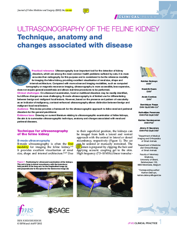 (PDF) Ultrasonography of the feline kidney Technique, anatomy and