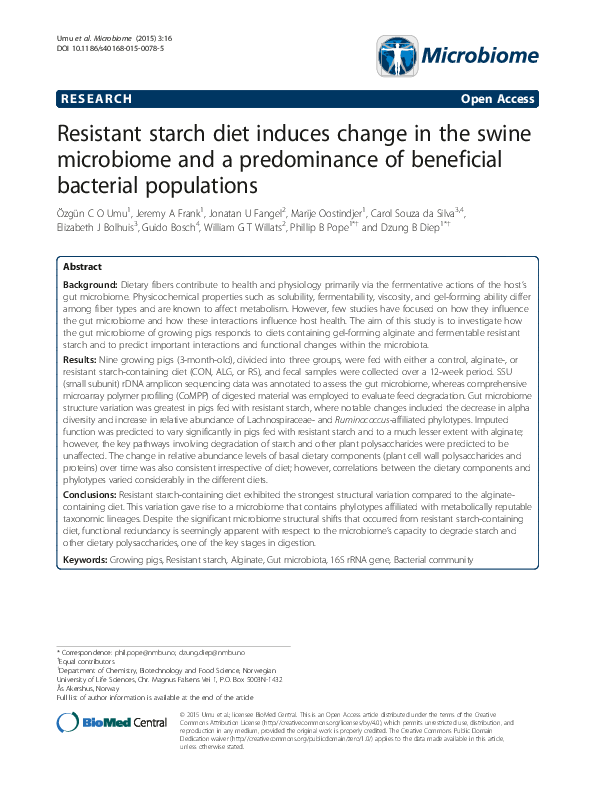 Resistant starch for diabetics picture