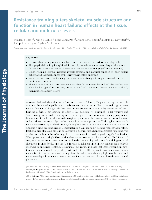 (PDF) Resistance training alters skeletal muscle structure and function ...