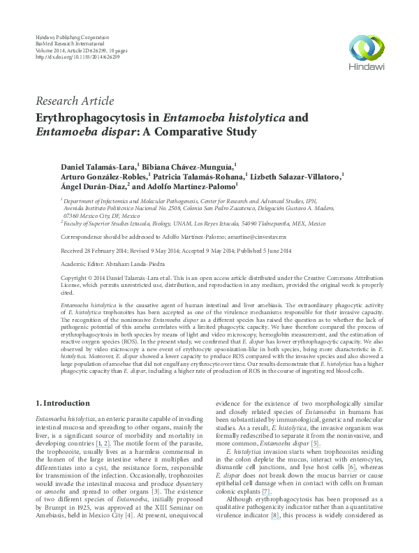 (PDF) Erythrophagocytosis in Entamoeba histolytica and Entamoeba dispar ...