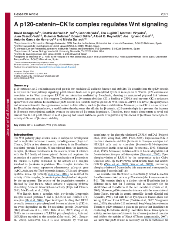 (PDF) A p120cateninCK1 complex regulates Wnt signaling David