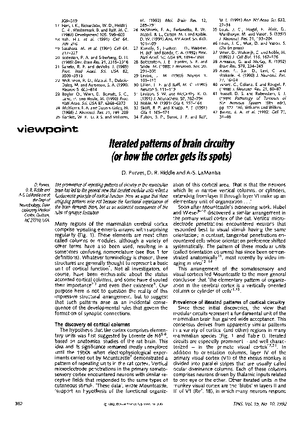 (PDF) Iterated patterns of brain circuitry (or how the cortex gets its ...