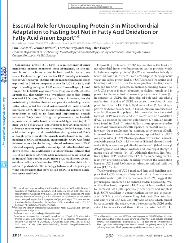 (PDF) Essential Role for Uncoupling Protein-3 in Mitochondrial ...