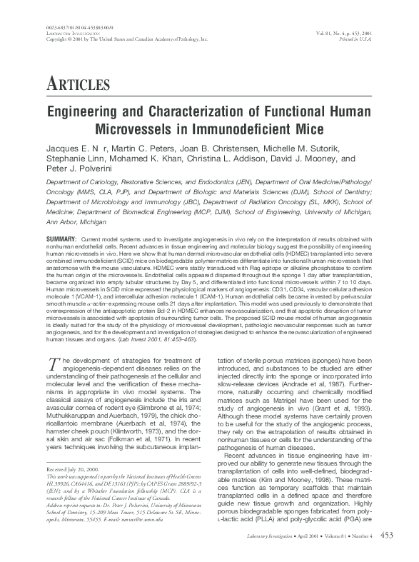 (PDF) Engineering and Characterization of Functional Human Microvessels ...