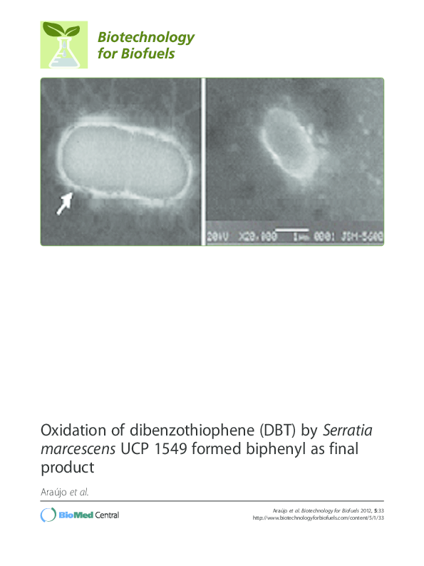 (PDF) Oxidation of dibenzothiophene (DBT) by Serratia marcescens UCP ...