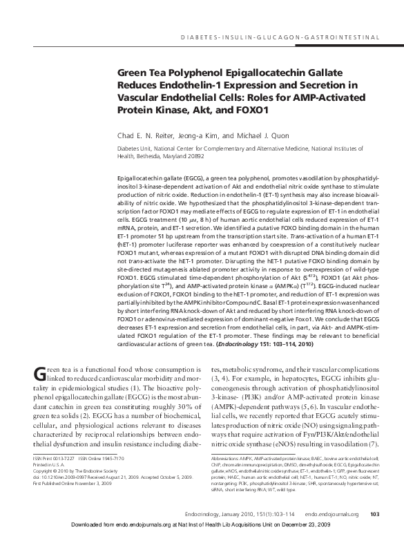 (PDF) Green tea polyphenol epigallocatechin gallate activates trpa1 in ...