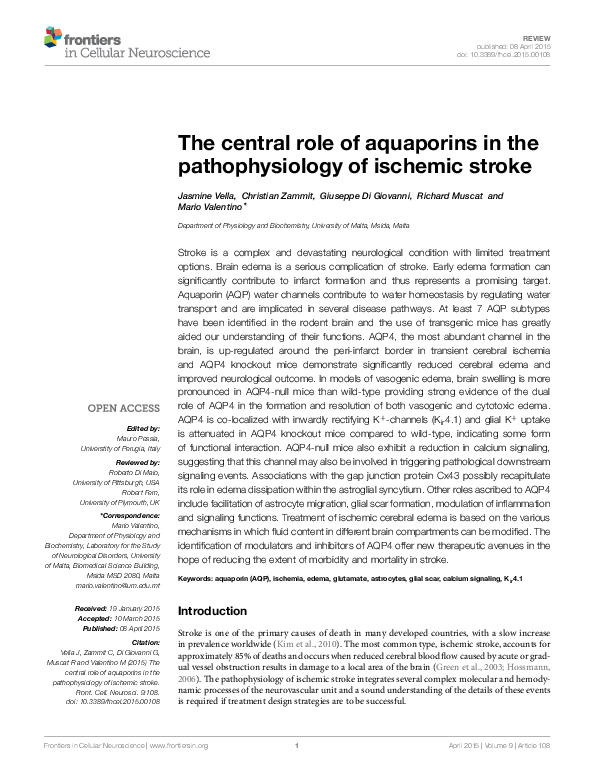 (PDF) The central role of aquaporins in the pathophysiology of ischemic ...