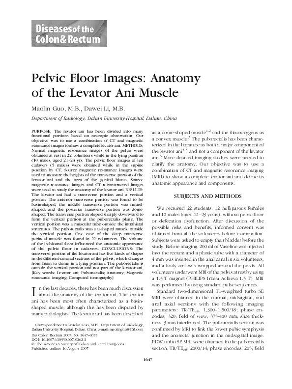 Pdf Pelvic Floor Images Anatomy Of The Levator Ani Muscle