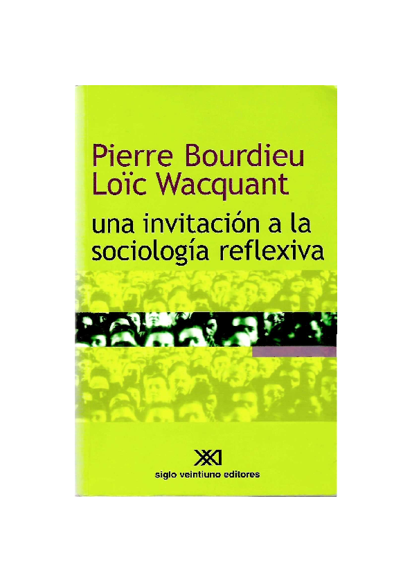 camisa pierre realis