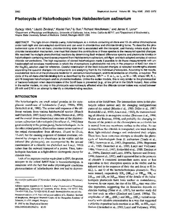 (PDF) Photocycle of halorhodopsin from Halobacterium salinarium