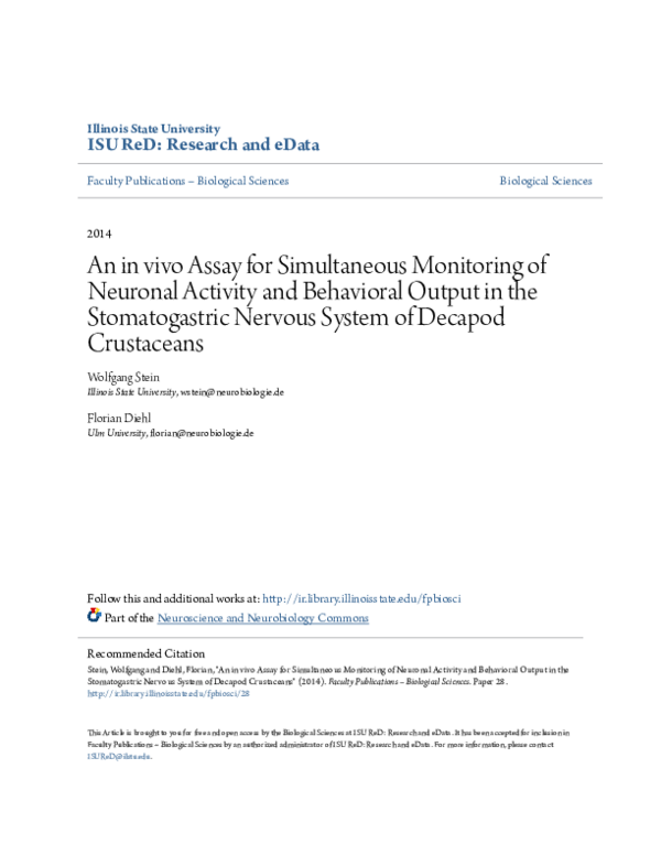(PDF) An in vivo Assay for Simultaneous Monitoring of Neuronal Activity ...