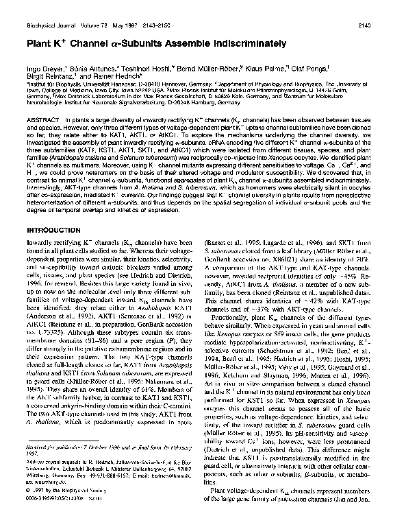 Pdf Plant K Channel Alpha Subunits Assemble Indiscriminately Ingo Dreyer Academia Edu