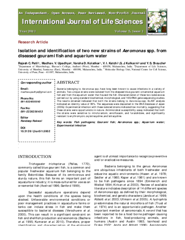 (PDF) Isolation and identification of two new strains of Aeromonas spp ...