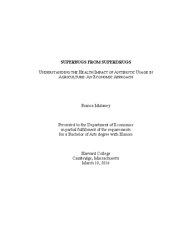 Superbugs essay 04 picture