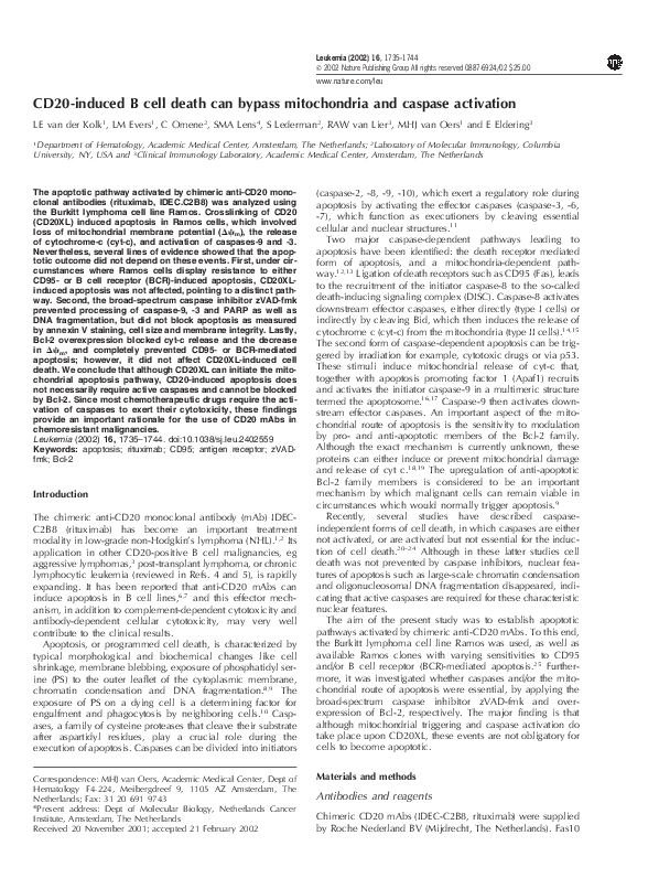 (PDF) CD20-induced B cell death can bypass mitochondria and caspase ...