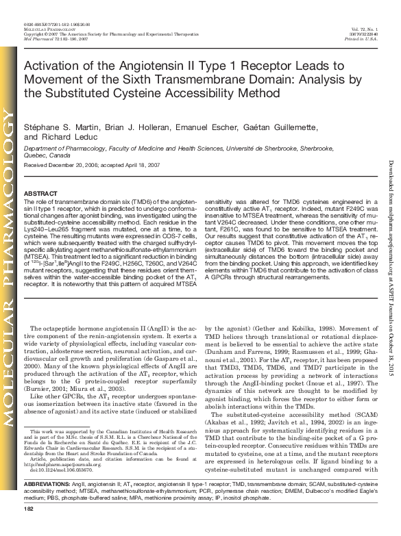 (PDF) Activation of the Angiotensin II Type 1 Receptor Leads to ...