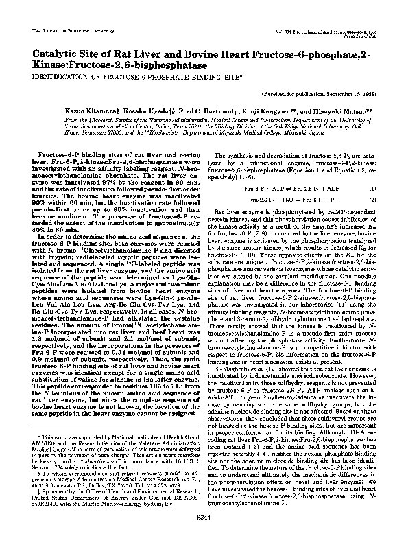 (PDF) Catalytic site of rat liver and bovine heart fructose6phosphate