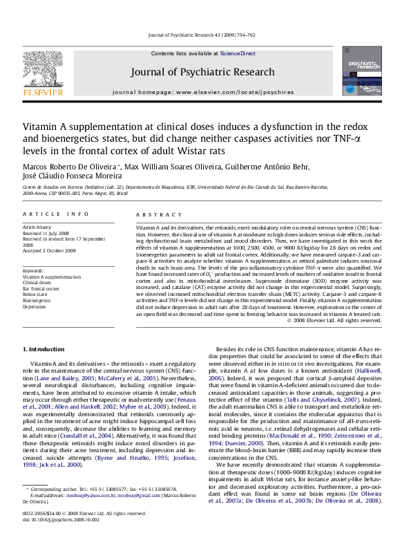 Types of bioenergetics image