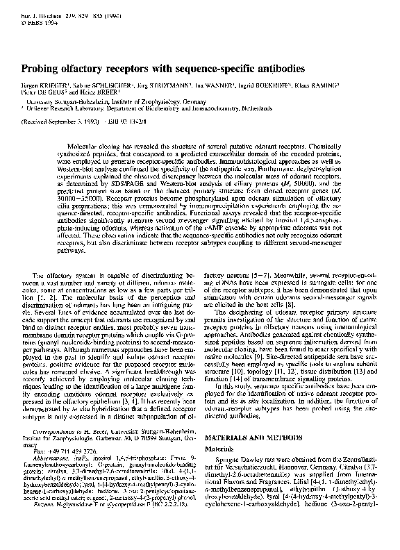 Pdf Probing Olfactory Receptors With Sequence Specific Antibodies