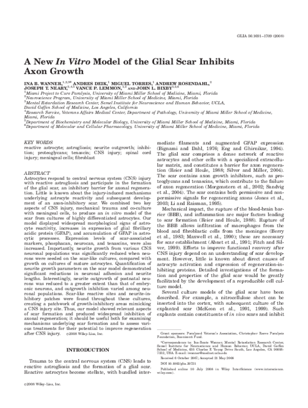 (PDF) A new in vitro model of the glial scar inhibits axon growth