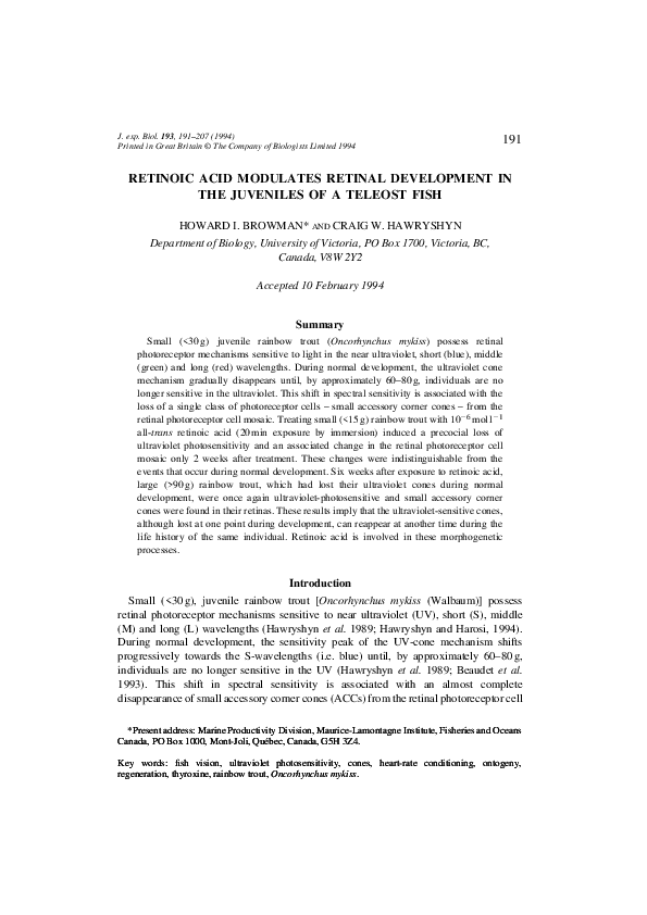 (PDF) RETINOIC ACID MODULATES RETINAL DEVELOPMENT IN THE JUVENILES OF A ...