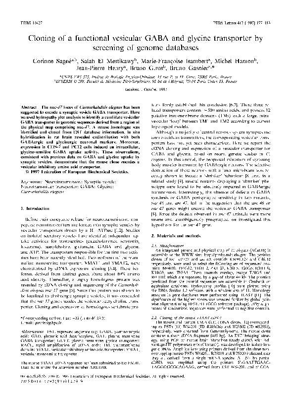 (PDF) Cloning of a functional vesicular GABA and glycine transporter by ...