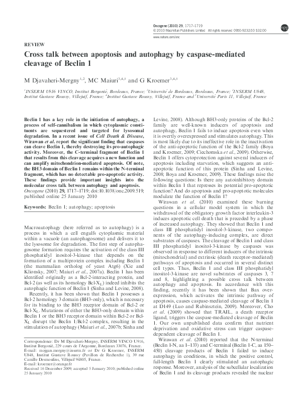 (PDF) Cross talk between apoptosis and autophagy by caspase-mediated ...