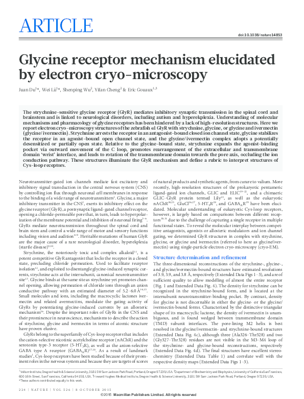 Glycine receptor mechanism elucidated by electron cryo-microscopy