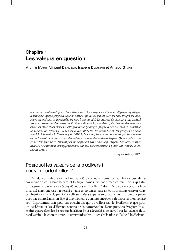 Synthesis essay example image