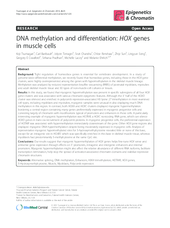 (PDF) DNA methylation and differentiation: HOX genes in muscle cells