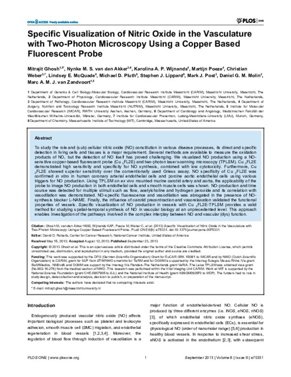 (PDF) Specific Visualization of Nitric Oxide in the Vasculature with ...