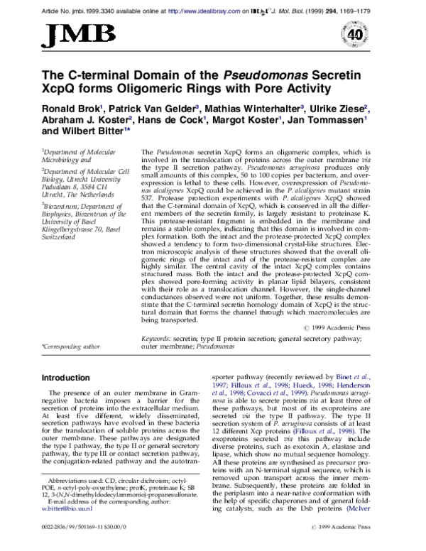 Secretin study picture