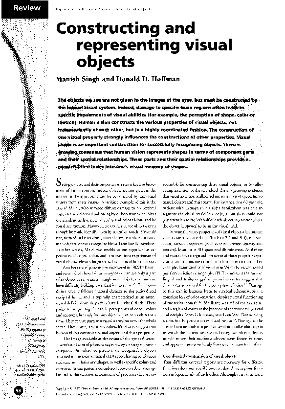(PDF) Constructing and representing visual objects