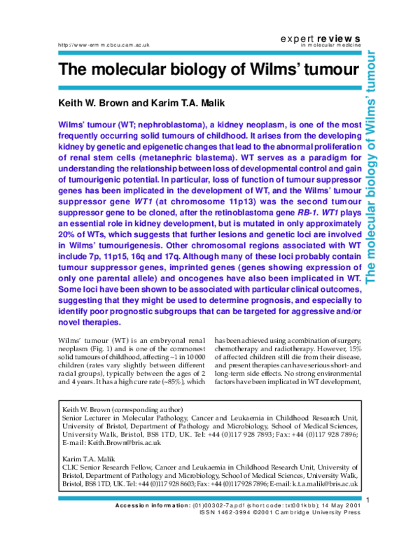 (PDF) The molecular biology of Wilms' tumour