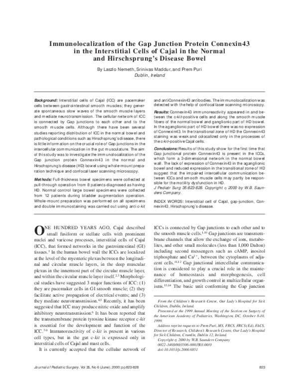 (PDF) Immunolocalization of gap junction protein connexin43 (GJA1) in ...