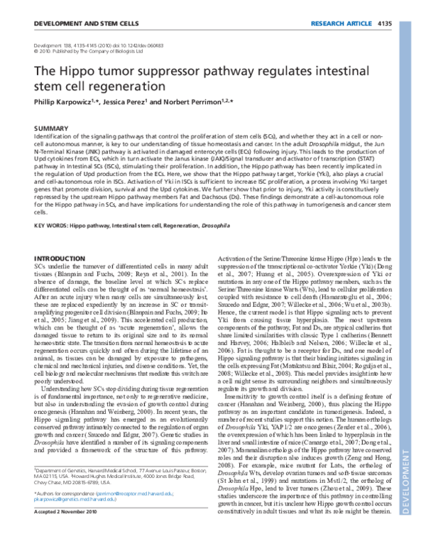 (PDF) The Hippo tumor suppressor pathway regulates intestinal stem cell ...
